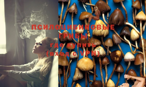 PSILOCYBIN Баксан
