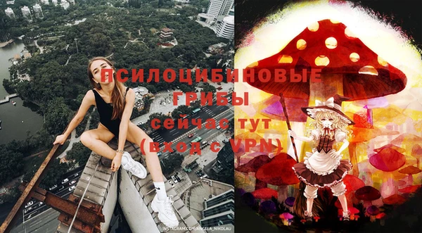скорость Зеленокумск