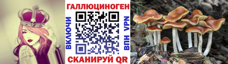 продажа наркотиков  Ельня  ОМГ ОМГ ТОР  Галлюциногенные грибы мухоморы 